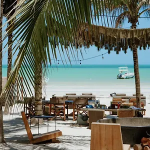 4* Hotel Casa Tortugas Petit Hotel&spa